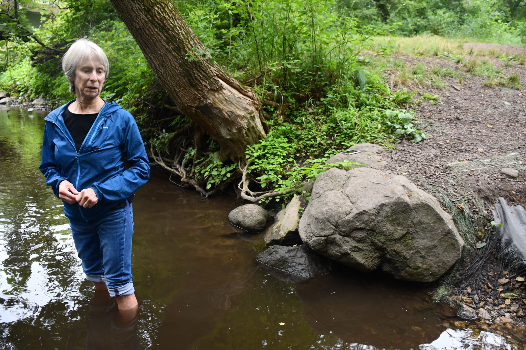 Friends of the Badfish Creek Watershed tackle E.Coli